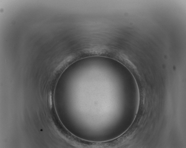 X0000063490020200601271731