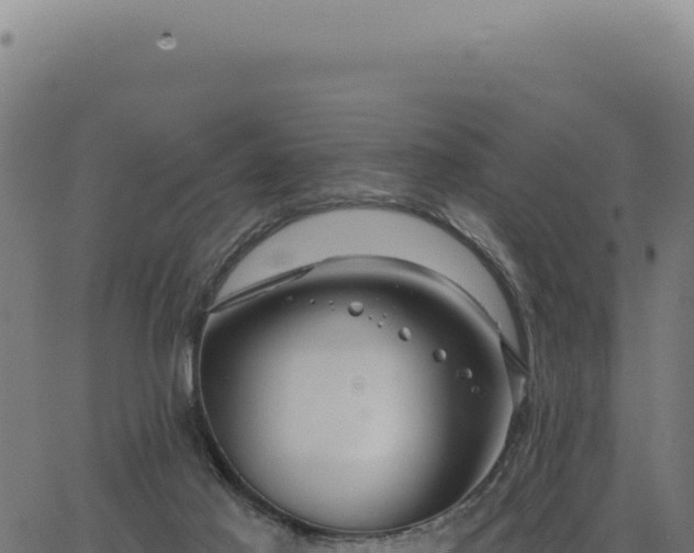 X0000063490021200601271731