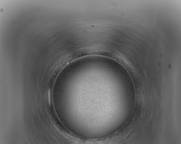 X0000063490022200601271731