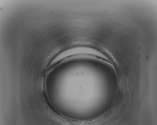 X0000063490023200601271731