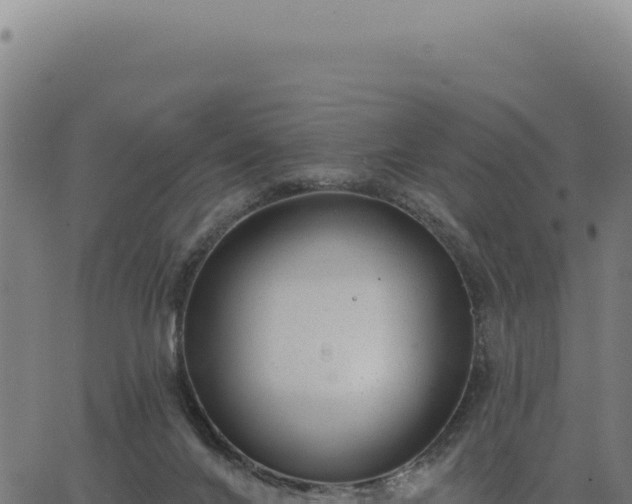 X0000063490024200601271731