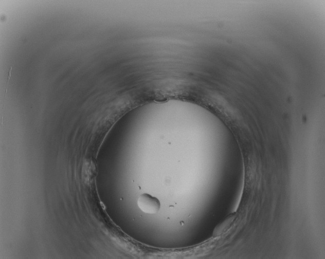 X0000063490025200601271731