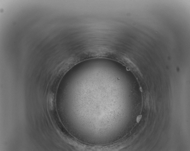 X0000063490026200601271731