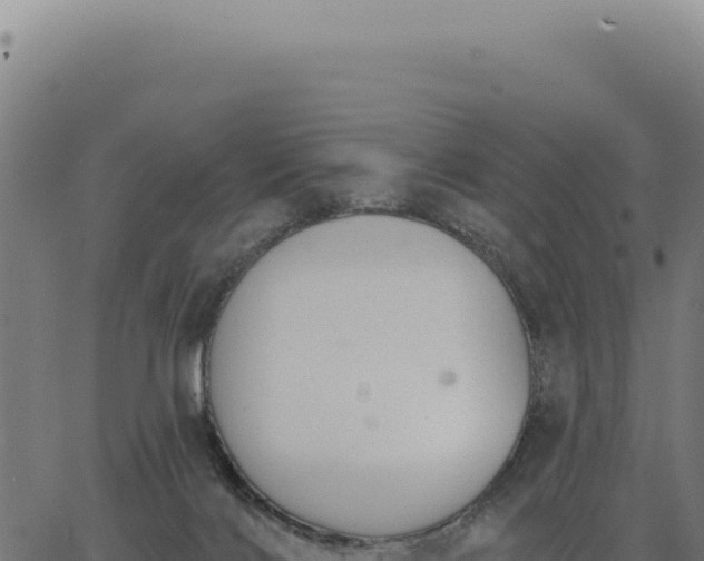 X0000063490028200601271731