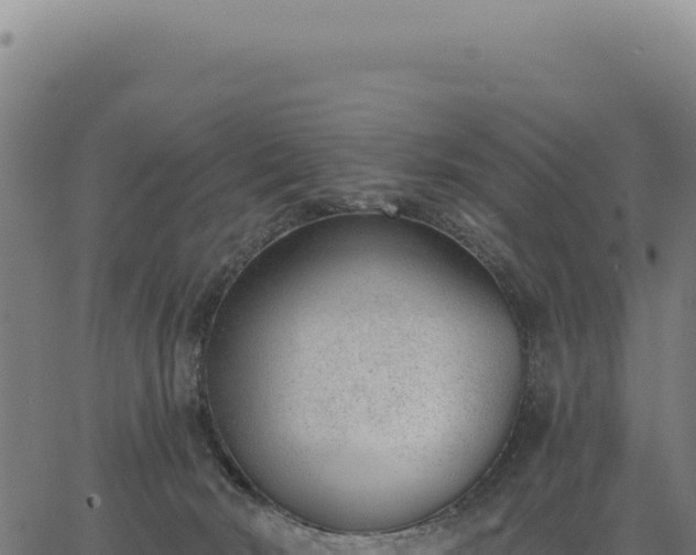 X0000063490030200601271731