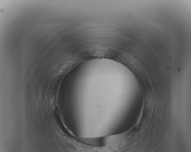 X0000063490031200601271731