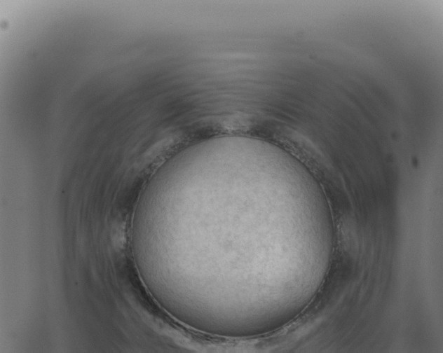 X0000063490032200601271731