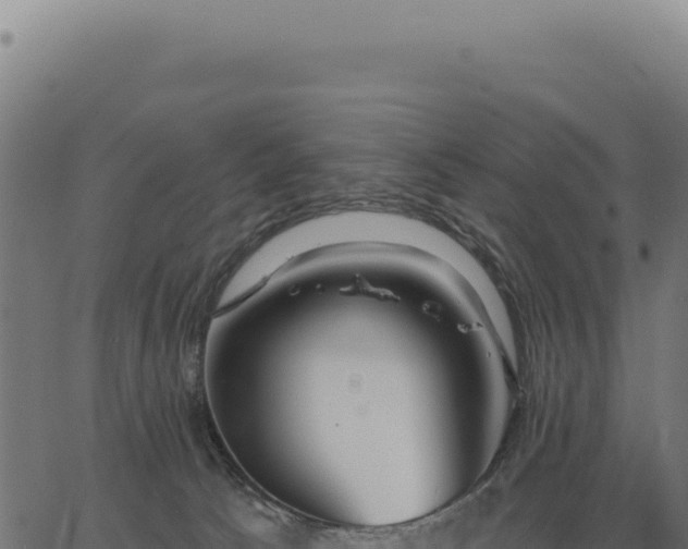 X0000063490033200601271731