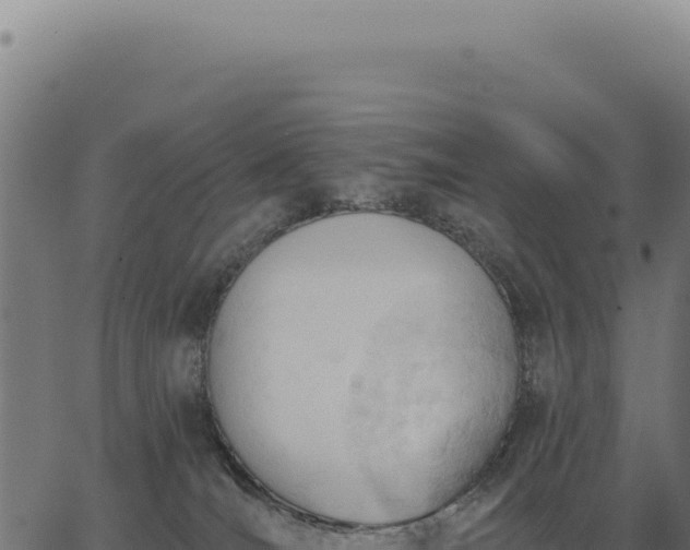 X0000063490036200601271731