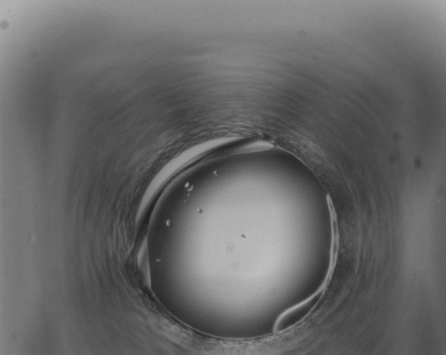 X0000063490037200601271731