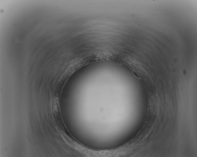 X0000063490038200601271731