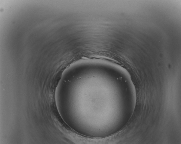 X0000063490039200601271731