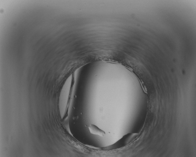 X0000063490041200601271731