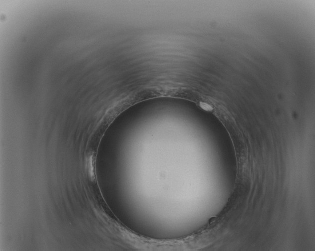 X0000063490042200601271731