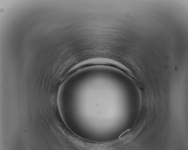 X0000063490044200601271731