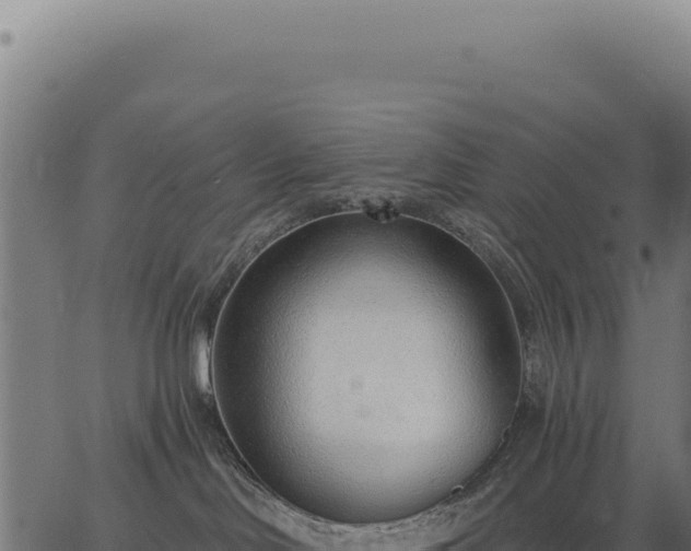 X0000063490046200601271731