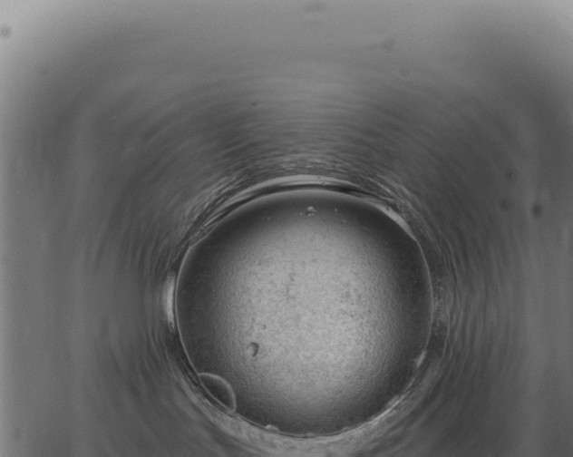 X0000063490047200601271731