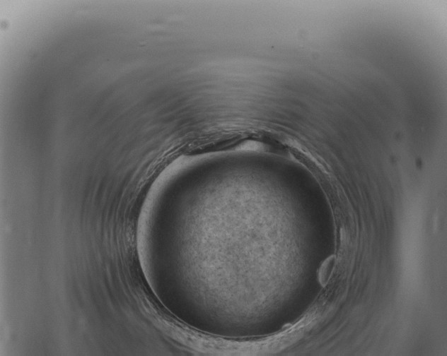 X0000063490048200601271731