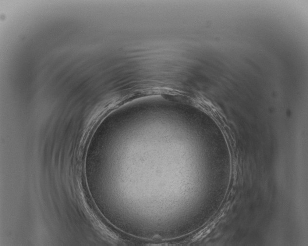 X0000063490049200601271730