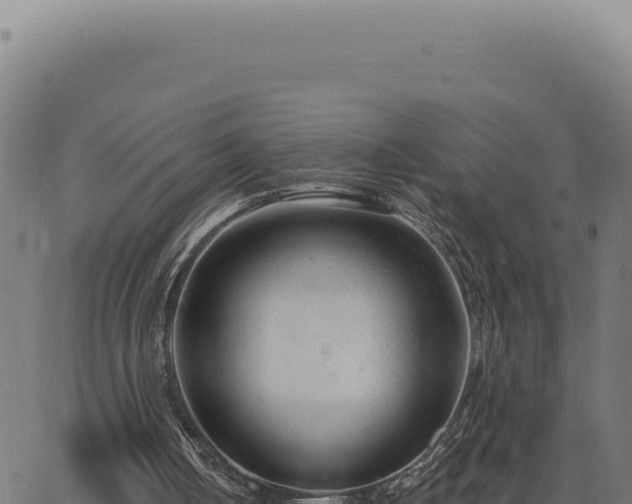 X0000063490050200601271730