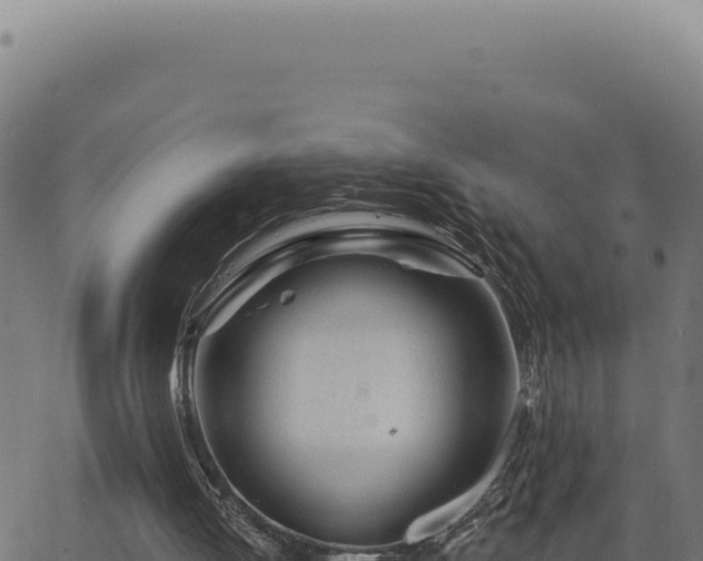 X0000063490052200601271730