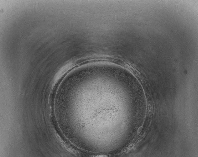 X0000063490053200601271730