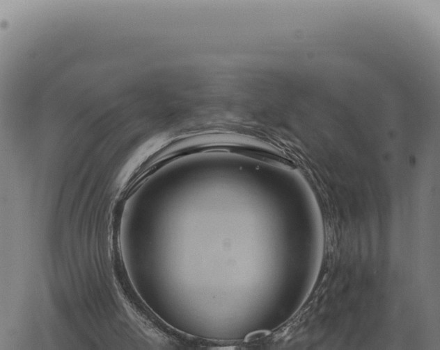 X0000063490054200601271730