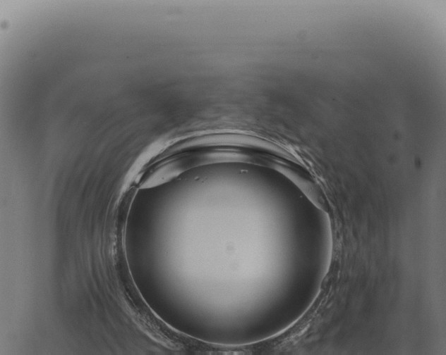 X0000063490056200601271730