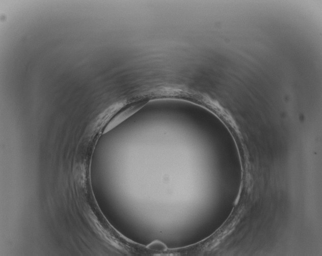 X0000063490057200601271730