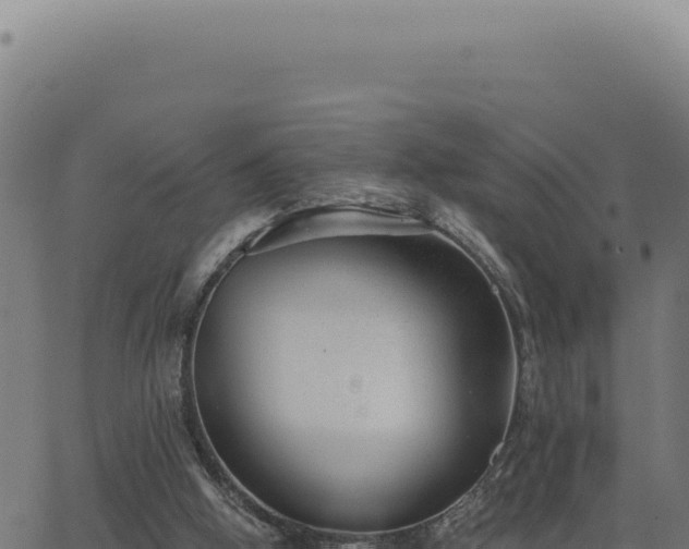 X0000063490058200601271730