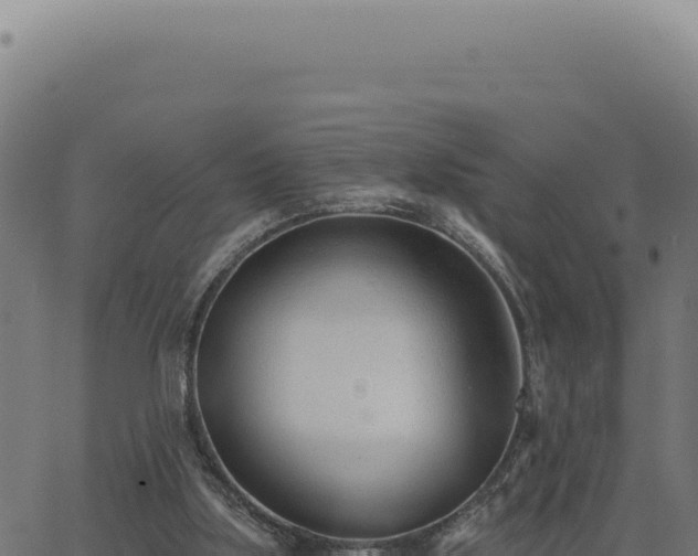 X0000063490059200601271730