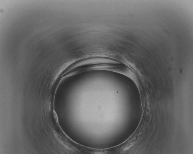 X0000063490060200601271730