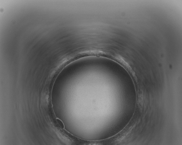 X0000063490063200601271730