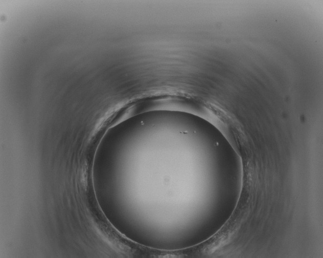 X0000063490064200601271730