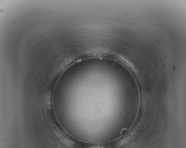 X0000063490065200601271730