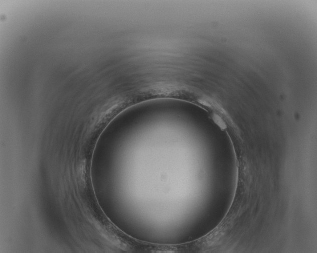 X0000063490066200601271730