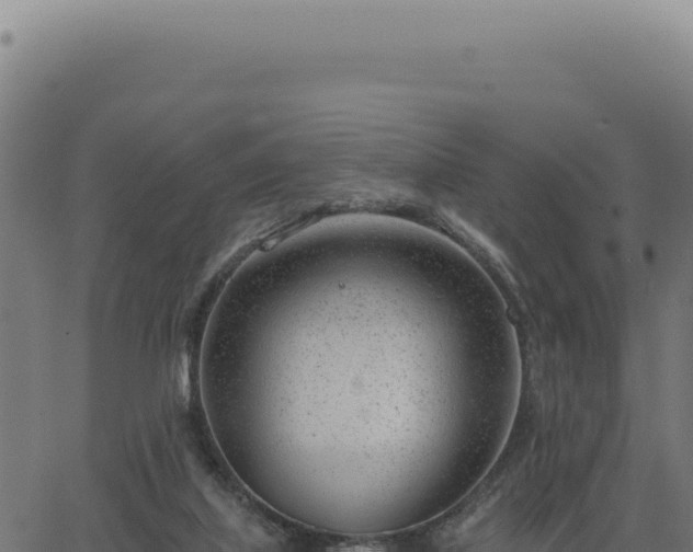 X0000063490067200601271730