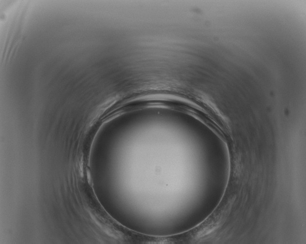 X0000063490068200601271730