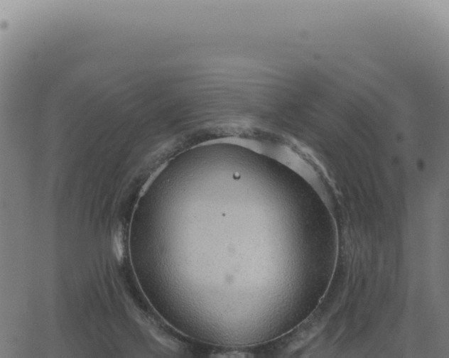 X0000063490069200601271730