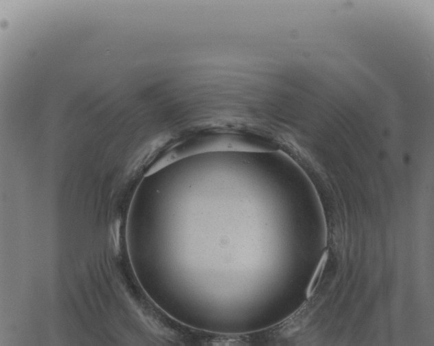 X0000063490070200601271730