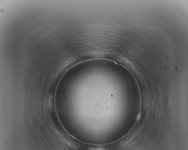 X0000063490071200601271730