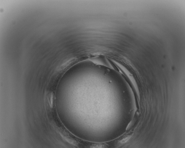 X0000063490076200601271730