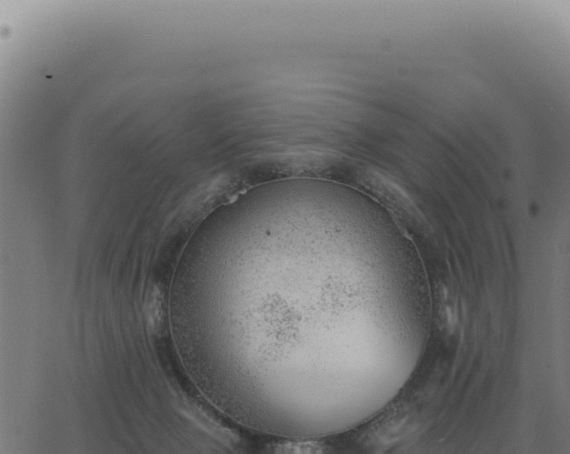 X0000063490077200601271730