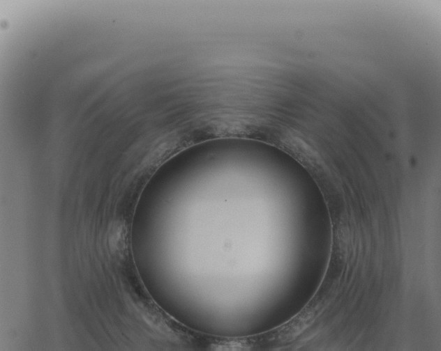 X0000063490079200601271730