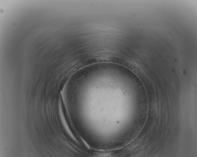 X0000063490081200601271730