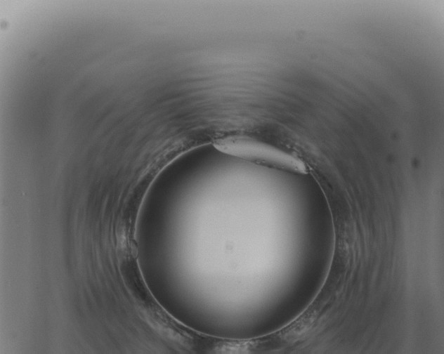 X0000063490084200601271731