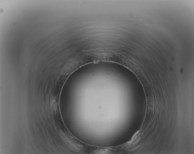 X0000063490086200601271731