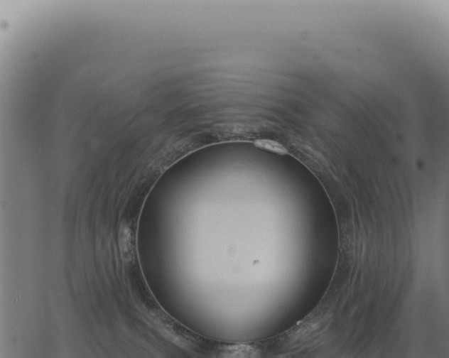 X0000063490087200601271731