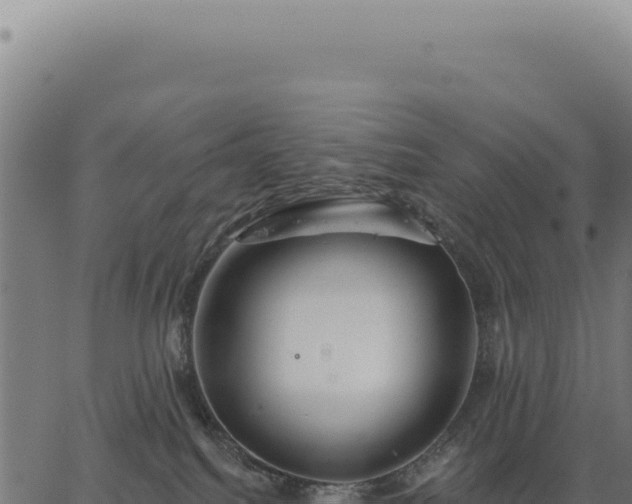 X0000063490088200601271731