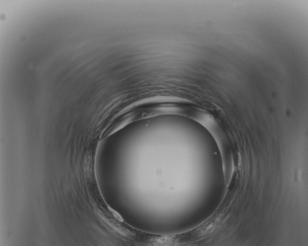 X0000063490092200601271731